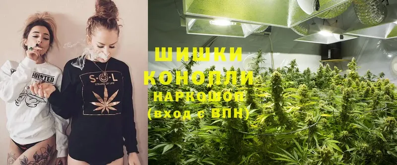 Бошки марихуана SATIVA & INDICA  Боровск 